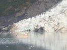 Alaska, Land and Sea Cruise